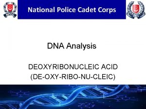 National Police Cadet Corps DNA Analysis DEOXYRIBONUCLEIC ACID