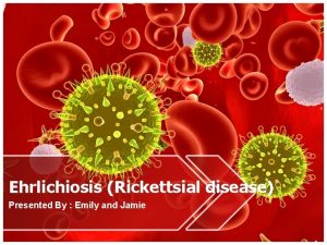 Ehrlichiosis Rickettsial disease Presented By Emily and Jamie