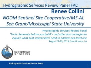 Hydrographic Services Review Panel FAC Renee Collini NGOM