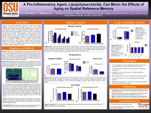 A ProInflammatory Agent Lipopolysaccharide Can Mimic the Effects