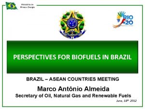 Ministrio de Minas e Energia PERSPECTIVES FOR BIOFUELS