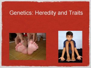 Genetics Heredity and Traits What is heredity Heredity
