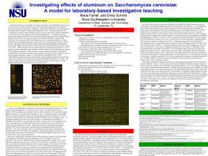 Investigating effects of aluminum on Saccharomyces cerevisiae A