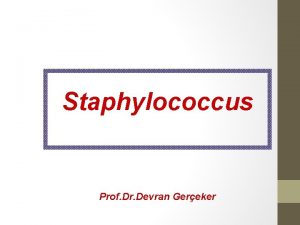 Staphylococcus Prof Dr Devran Gereker Takm Bacillales Aile