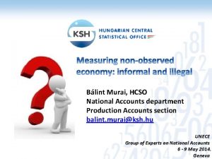 Blint Murai HCSO National Accounts department Production Accounts