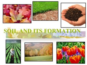 SOIL AND ITS FORMATION Components of Soil n