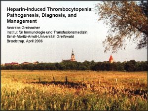 Heparininduced Thrombocytopenia Pathogenesis Diagnosis and Management Andreas Greinacher