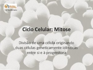 Prof Ana Rita Rainho Ciclo Celular Mitose Diviso