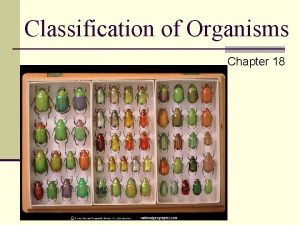Classification of Organisms Chapter 18 Why Classify n