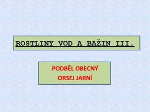 ROSTLINY VOD A BAIN III PODBL OBECN ORSEJ