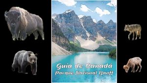 Gua de Canad Parque Nacional Banff Banff National