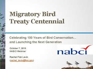 Migratory Bird Treaty Centennial Celebrating 100 Years of