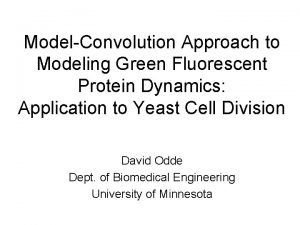 ModelConvolution Approach to Modeling Green Fluorescent Protein Dynamics