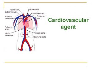 Cardiovascular agent 1 Cardiovascular agent These are drugs