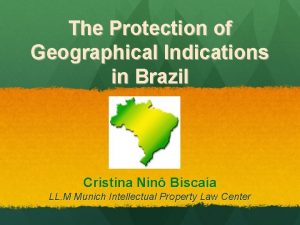 The Protection of Geographical Indications in Brazil Cristina