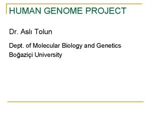 HUMAN GENOME PROJECT Dr Asl Tolun Dept of