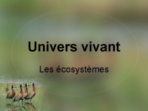 Univers vivant Les cosystmes Les cosystmes Questce quun