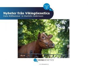 Nyheter frn Viking Genetics Hans Stlhammar Charlotte Andersson