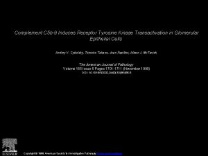 Complement C 5 b9 Induces Receptor Tyrosine Kinase