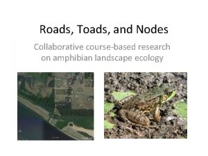 Roads Toads and Nodes Collaborative coursebased research on