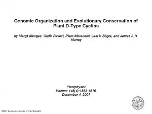 Genomic Organization and Evolutionary Conservation of Plant DType