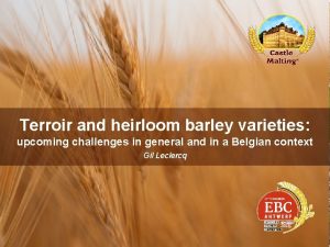 Terroir and heirloom barley varieties upcoming challenges in