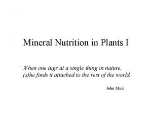 Mineral Nutrition in Plants I When one tugs