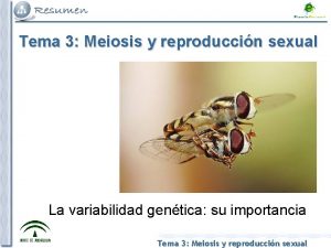 Tema 3 Meiosis y reproduccin sexual La variabilidad