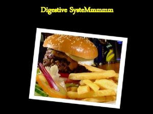 Digestive Syste Mmmmm Digestion Mechanical and chemical breakdown