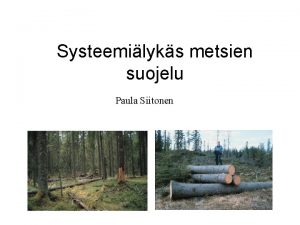 Systeemilyks metsien suojelu Paula Siitonen Luonnonsuojelubiologinen tavoite Lajien