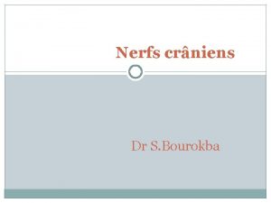 Nerfs crniens Dr S Bourokba les 12 paires