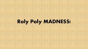 Roly Poly MADNESS What are Roly Polies Also