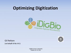 Optimizing Digitization Gil Nelson on behalf of the