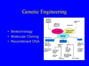 Genetic Engineering Biotechnology Molecular Cloning Recombinant DNA HISTORY