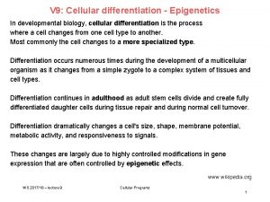 V 9 Cellular differentiation Epigenetics In developmental biology