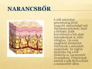 NARANCSBR A nk zsrsejtjei genetikailag jval nagyobb mennyisg