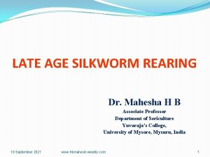 LATE AGE SILKWORM REARING Dr Mahesha H B