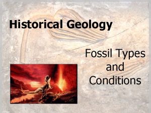 Historical Geology Fossil Types and Conditions Paleontology Study