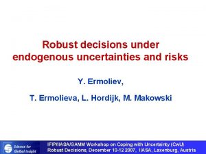 Robust decisions under endogenous uncertainties and risks Y