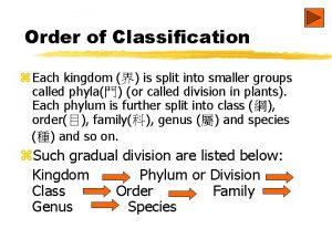 Order of Classification z Each kingdom is split