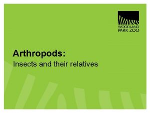 Arthropods Insects and their relatives Arthropods Insects and