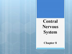 Central Nervous System Chapter 8 Page 144 The