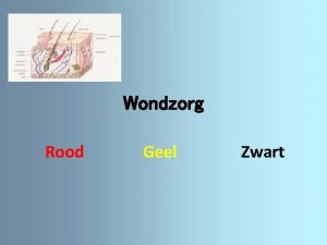 Wondzorg Rood Geel Zwart Soorten wonden Open wond