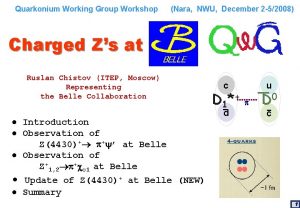 Quarkonium Working Group Workshop Nara NWU December 2