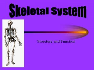 Structure and Function Functions Support body structure and