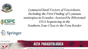 Lymnaeid Snail Vectors of Fascioliasis Including the First