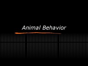 Animal Behavior What is behavior Behavior is anything