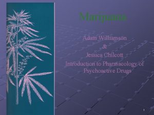 Marijuana Adam Williamson Jessica Chilcott Introduction to Pharmacology