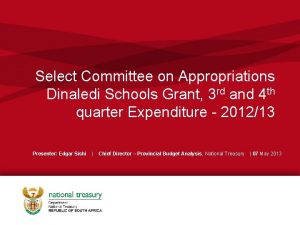 Select Committee on Appropriations Dinaledi Schools Grant 3