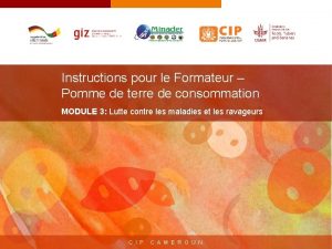 Instructions pour le Formateur Pomme de terre de